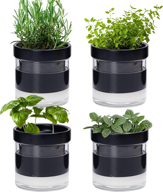 Phoenix Vine 4 Inch Self Watering Planter Pot, Black Terracotta Clay Pot with Glass Reservoir for Indoor Plants, Herbs, Flowers, Set of 4, 52-C-E-4