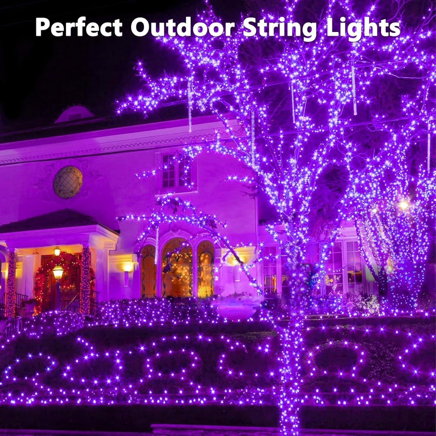 Halloween Solar String Lights, Extra-Long 2 Pack 144FT 400LED Super Bright Solar Fairy Lights Outdoor, 8 Modes Waterproof Copper Wire Twinkle light for Garden Tree Party Halloween Decorations (Purple)