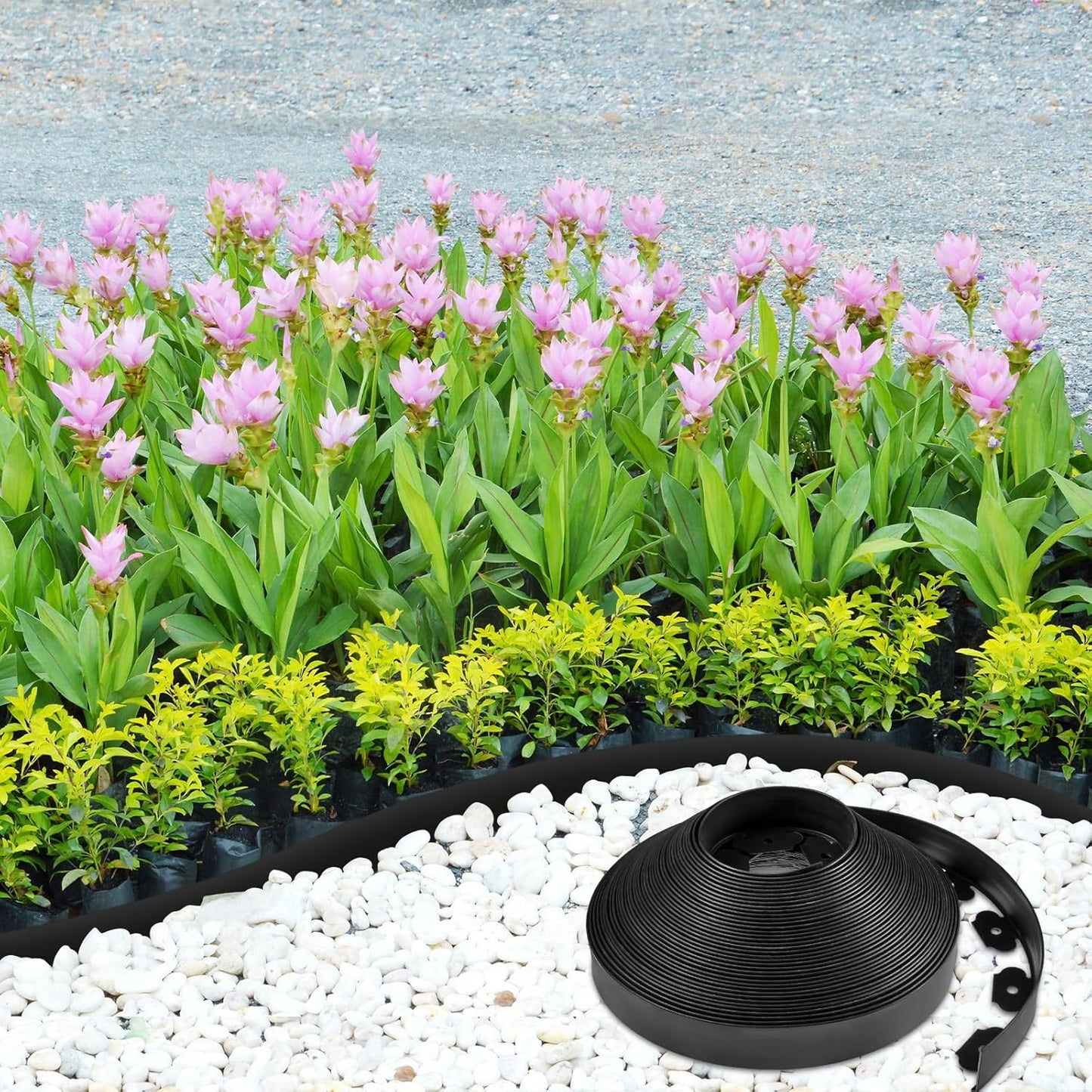 Sasylvia 1.7'' x 200' Landscape Edging Kit Edging Border Coil Include Anchoring Spikes 10 Connectors Plastic Garden Border for Lawn Garden Grass Yard Home(Black)