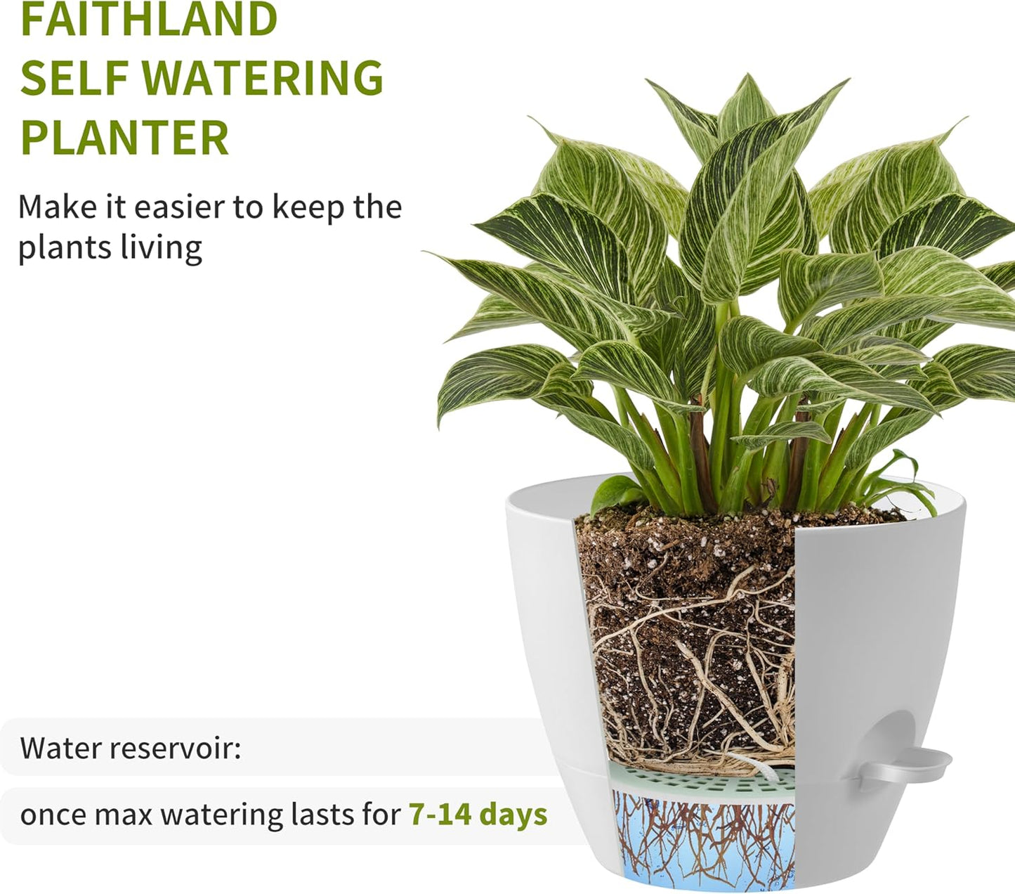 FaithLand 3-Pack Large Planter Pots, 12 10 9 Inch Self Watering Flower Pots for Indoor Outdoor Garden Plants, White with Brown