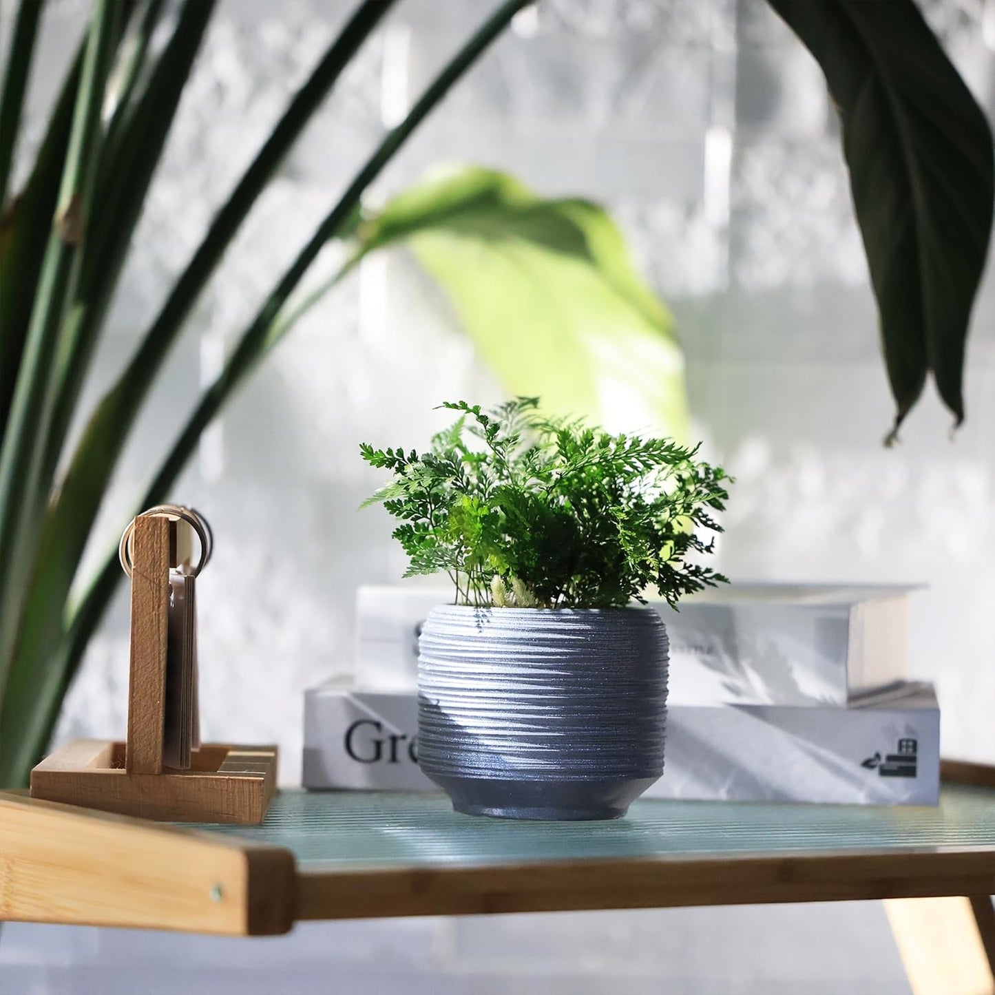 Mini Succulent Planter Set – 3.7 Inch Ceramic Pots with Drainage for Indoor Plants, Small Decorative Flower Pots for Cactus and House Plants, Set of 4