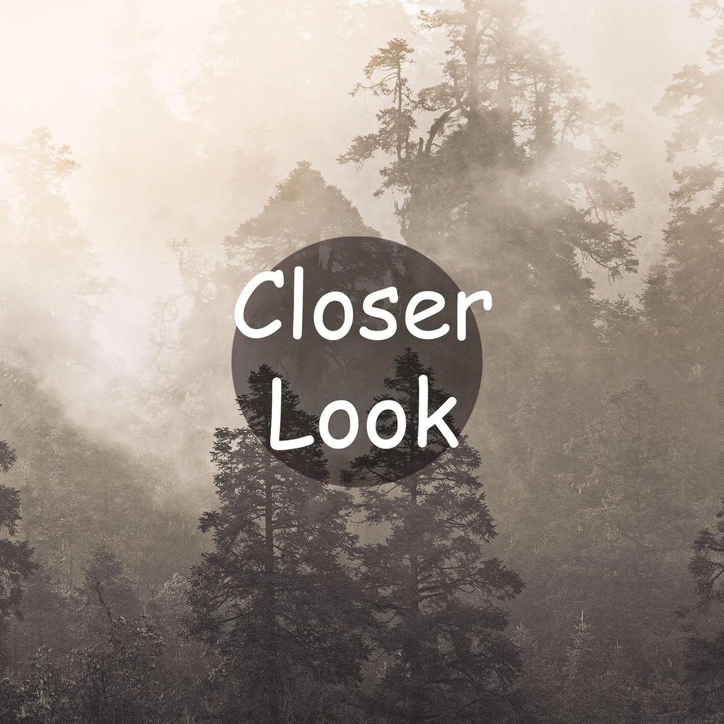 Foggy Forest Woodland Mural Wallpaper for Bedroom Living Room Misty Jungle Rainforest Trees Nature Landscape Wall Mural(Not Peel n' Stick)