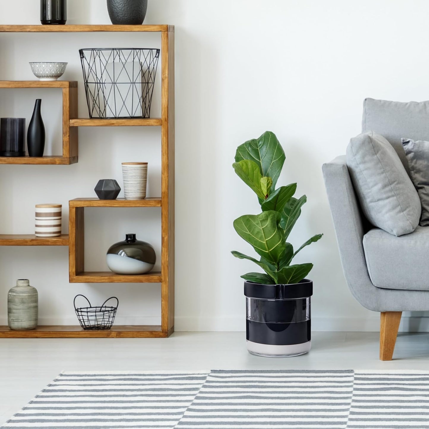 Phoenix Vine 8 Inch Self Watering Terracotta Planter, Black Terracotta Clay Pot with Glass Reservoir for Indoor Plants, Herbs, Flowers, Set of 1, 52-C-H-1