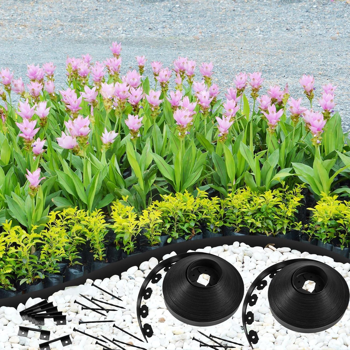 Sasylvia 2.5'' x 200' Landscape Edging Kit Edging Border Coil Include Anchoring Spikes 10 Connectors Plastic Garden Border for Lawn Garden Grass Yard Home(Black)