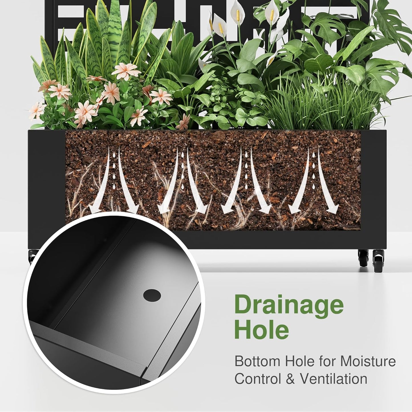 Casaphoria Metal Raised Garden Bed with Trellis and Wheels, 72"x35"x16" Planter Box for Climbing Plants, Vegetables & Vines, Features Drainage Holes and Privacy Screen (Black-Helen)