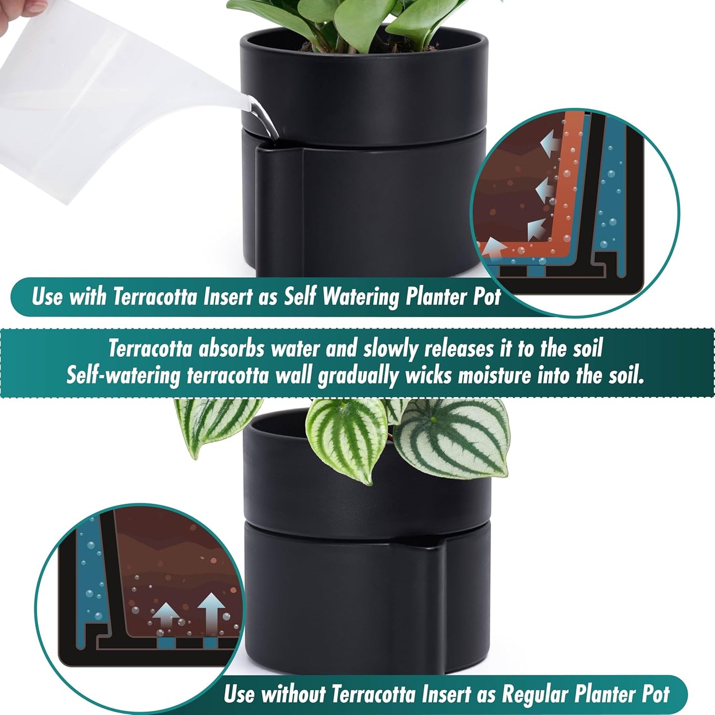 Phoenix Vine 6.5 Inch Self-Watering Planter Pot with Terracotta Insert, Deep Water Reservoir, and Ceramic-Alike BPA-Free Plastic Planter Pot for Plant, Modern Planter for Houseplants, Black, 53-A-S-2