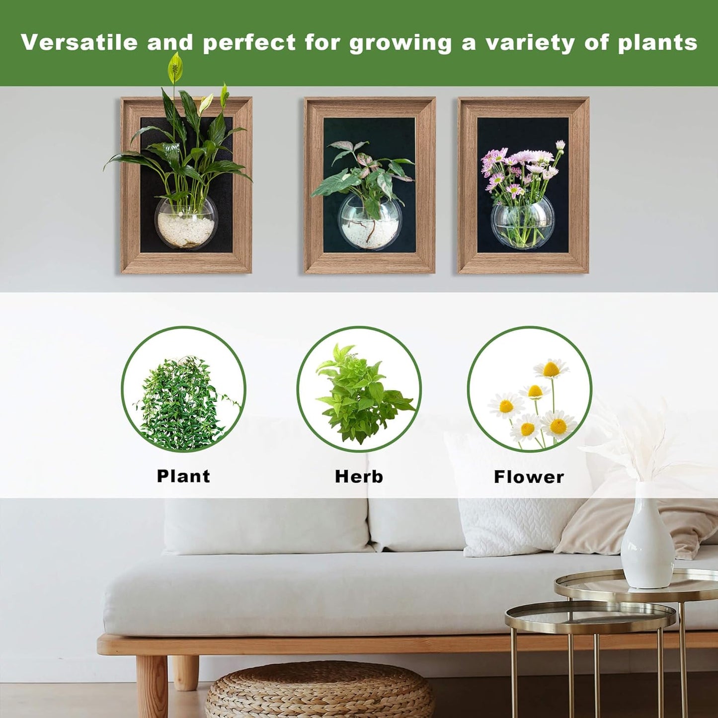 Walnut Wooden Frame Wall Hanging Planter for Hydroponic Plants，12'' x16''inch Wall Vase with Oblate-Shaped Acrylic Propagation Station，Bathroom, Office, or Living Room Decor, Set of 3