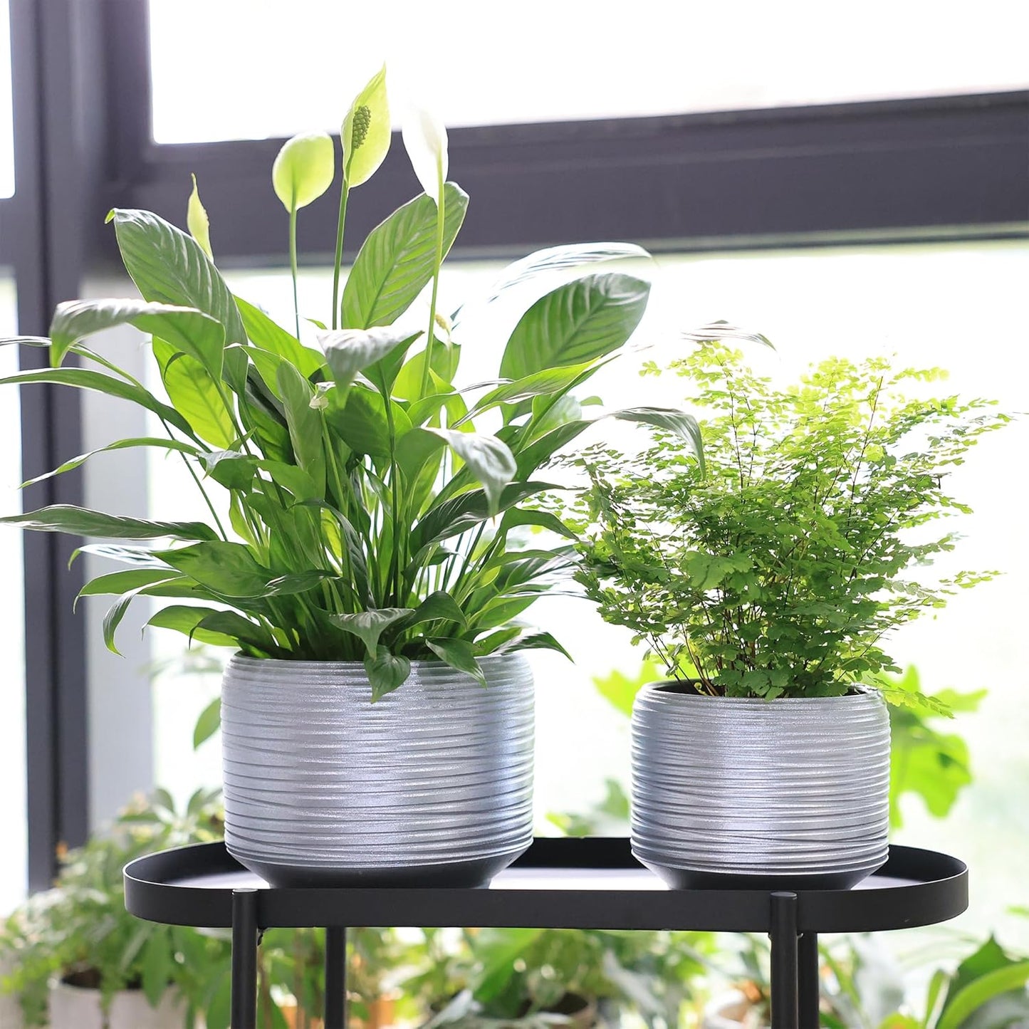 8 Inch + 6 Inch Ceramic Plant Pots Indoor with Drainage – Flower Pot Set, Decorative Indoor Planters for House Plants and Garden Use