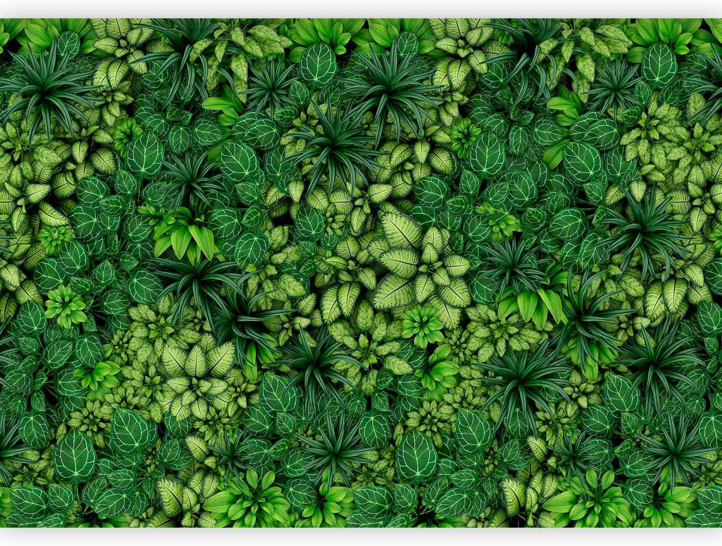 artgeist Wall Mural Plants 173x124 in - Peel and Stick Self-Adhesive Wallpaper Removable Large Sticker Foil Wall Decor Print Picture Image Design Nature Botanics Tropical Leaves b-B-0601-a-a