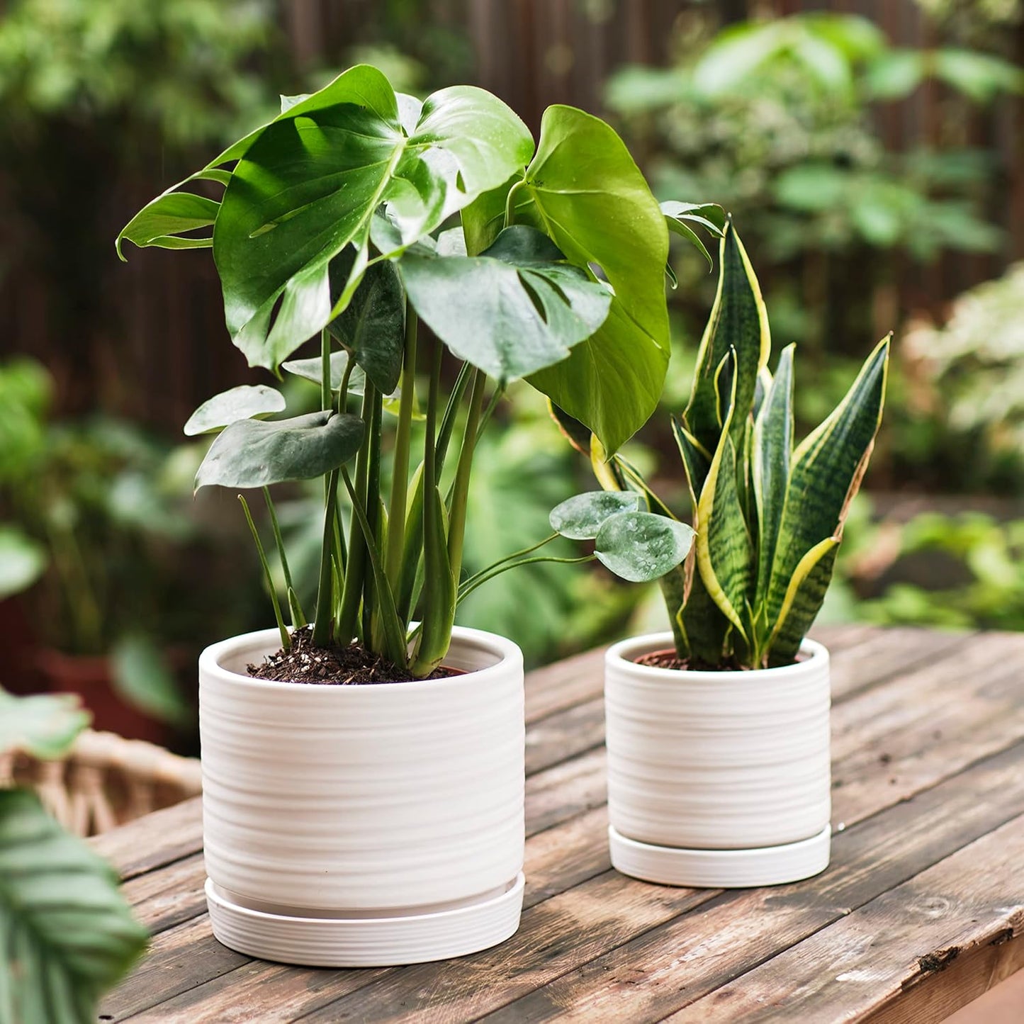 6 + 8 Inch Plant Pots, Ceramic Planter Pot with Drainage Hole & Saucer, Indoor/Outdoor Cylinder Round Planter Pot, Matte White