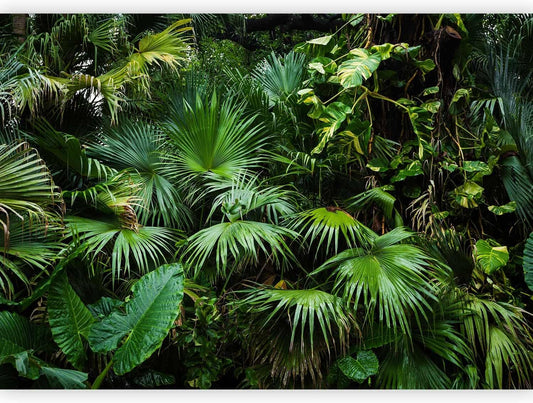 artgeist Wall Mural Tropical 98x69 in - XXL Non-Woven Wallpaper Fleece Wall Decor Photo Print Picture Image Design Home b-B-0312-a-a