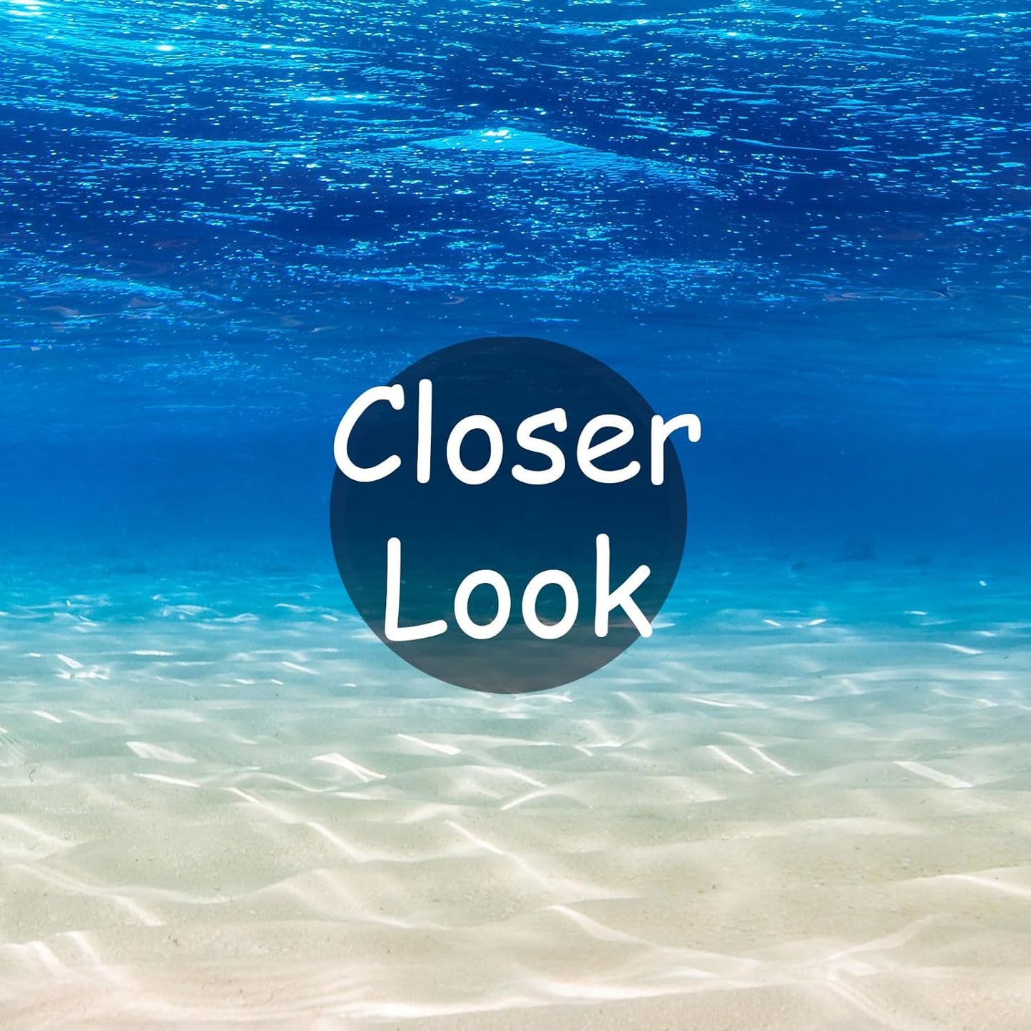 Undersea Landscape Wall Mural Deep Sea Natural Wallpaper for Bedroom Living Room (Not Peel n' Stick)