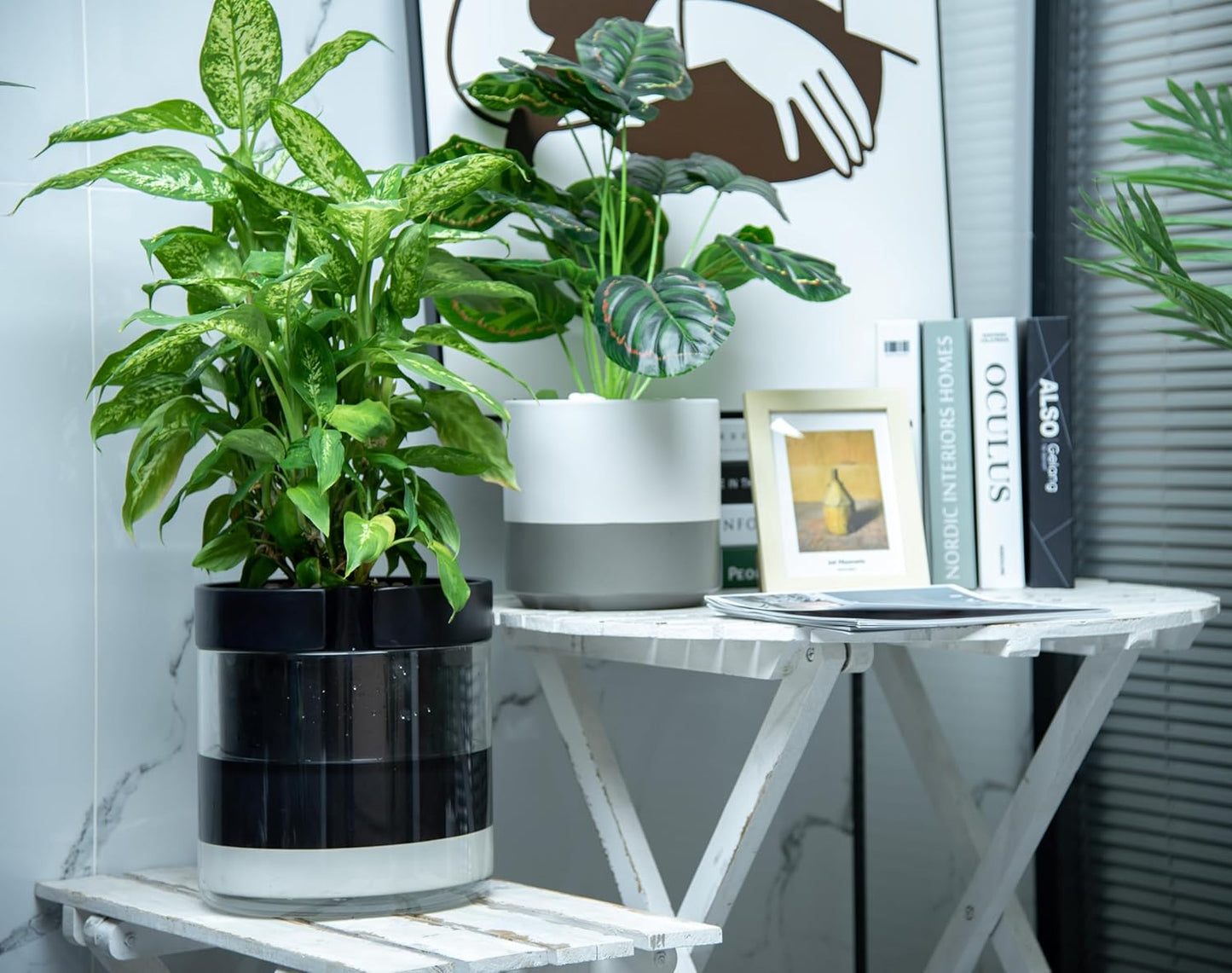 Phoenix Vine 10 Inch Self Watering Terracotta Planter, Black Terracotta Clay Pot with Glass Reservoir for Indoor Plants, Herbs, Flowers, Set of 1, 52-C-I-1