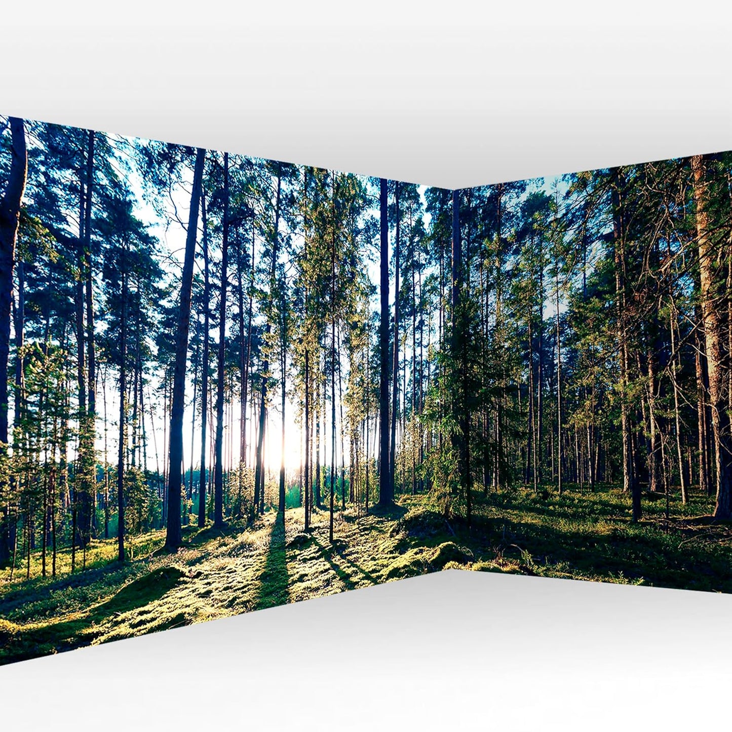artgeist Wall Mural Forest 216x98 in - XXL Non-Woven Corner Wallpaper Fleece Angle Wall Decor Photo Print Picture Forest Trees Sunrise c-B-10185-a-a