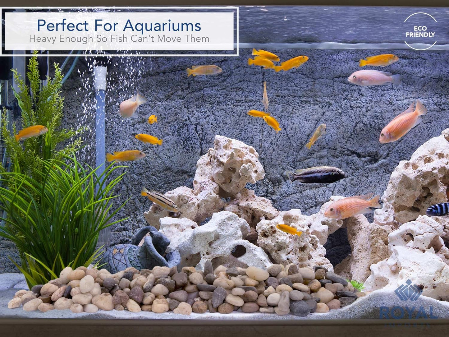 Royal Imports 5LBS River Rocks Decorative Ornamental Pebbles, Garden Landscaping Stones, Gravel Filler for Plants, Vases, Succulents, Home Decor, Aquariums, Crafting, Animal Habitat - Small Natural